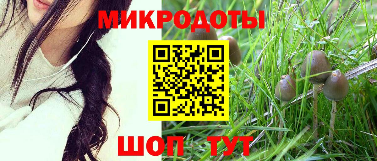 Славянск-на-Кубани  Псилоцибиновые грибы Magic Shrooms  Вход с VPN 